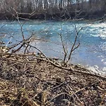 Stoisser