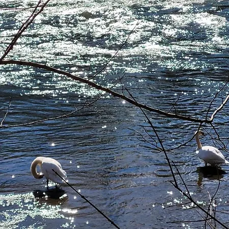 Lägenhet Stoisser *