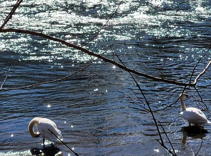 Διαμέρισμα Stoisser *