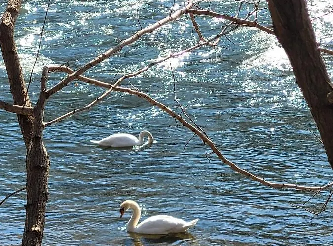 Διαμέρισμα Stoisser