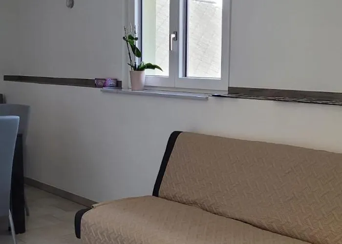 Stoisser * 穆勒克